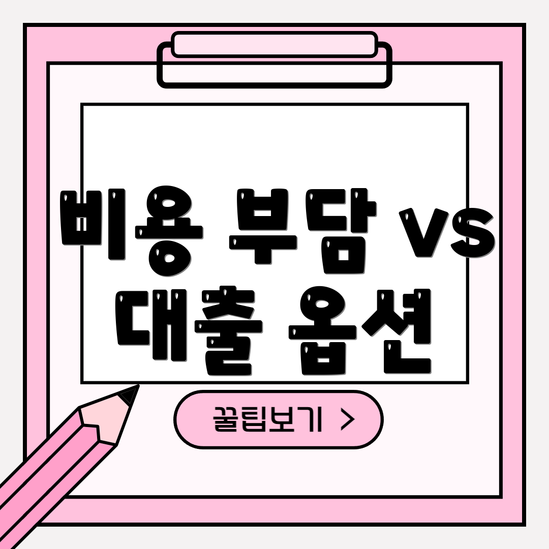 비용 부담 vs 대출 옵션