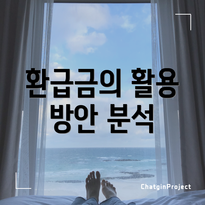 환급금의 활용 방안 분석