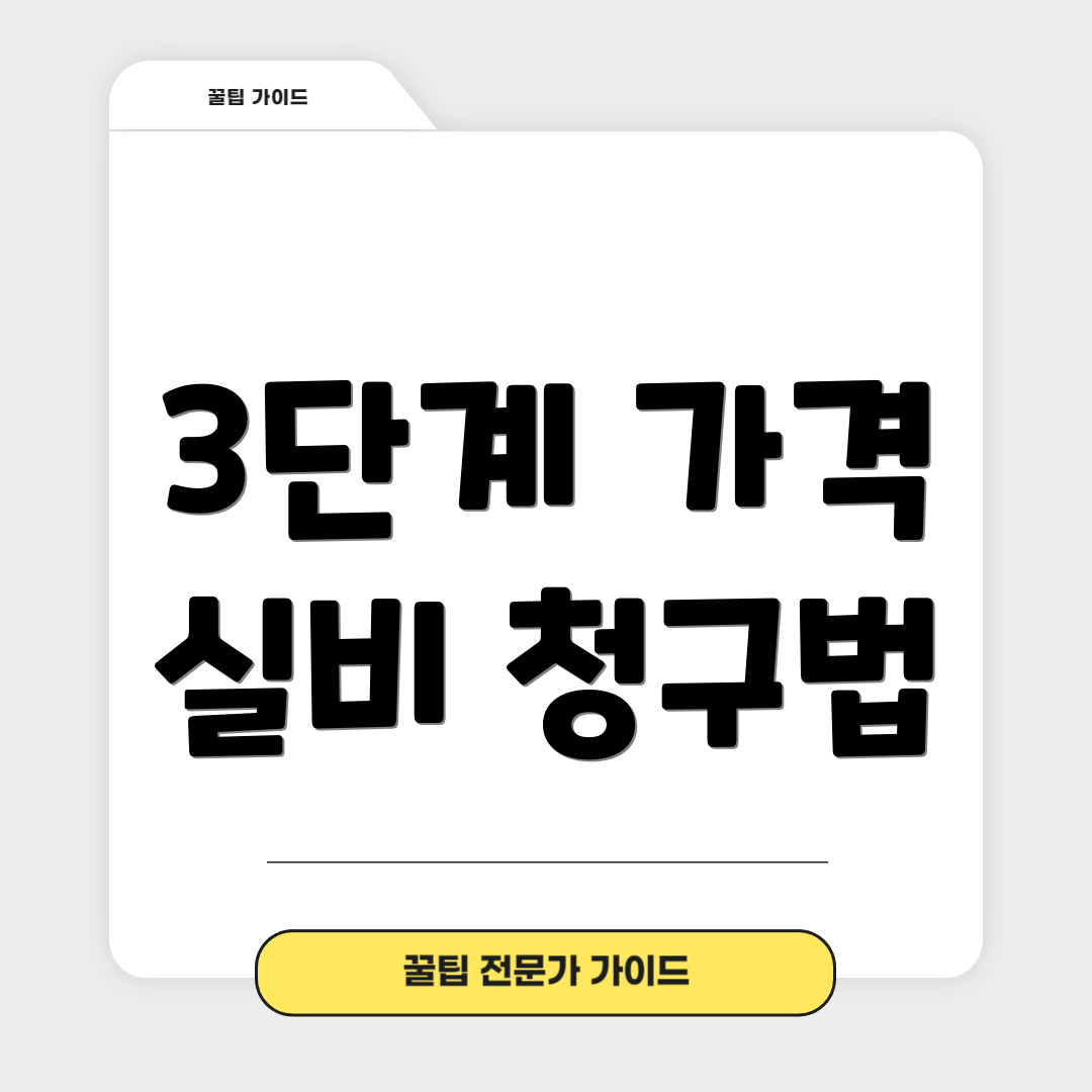 3단계 가격 실비 청구법