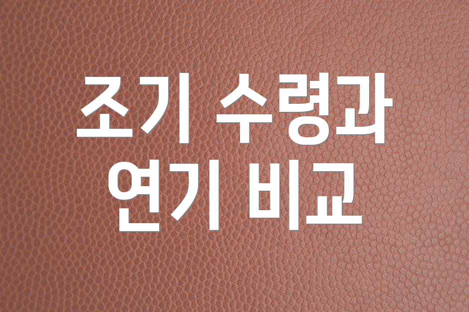 조기 수령과 연기 비교
