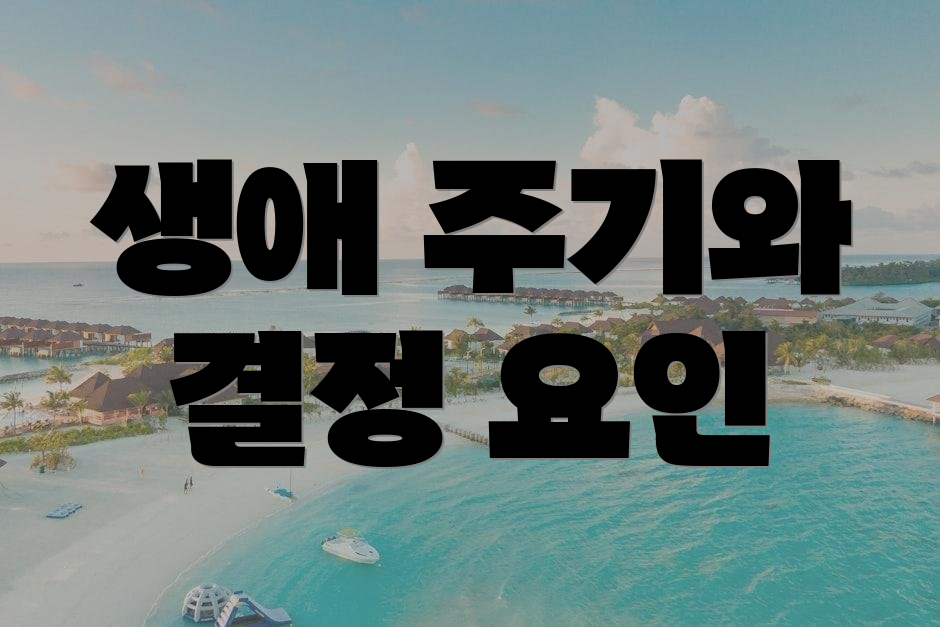 생애 주기와 결정 요인