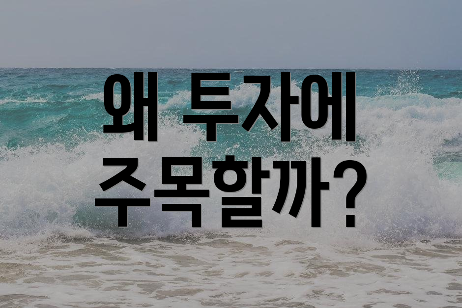왜 투자에 주목할까?
