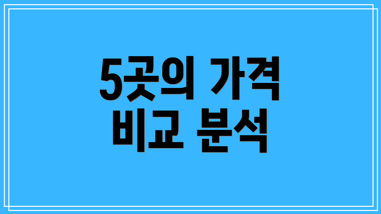 5곳의 가격 비교 분석