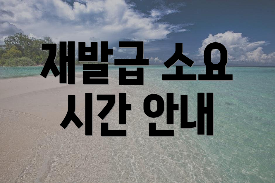 재발급 소요 시간 안내