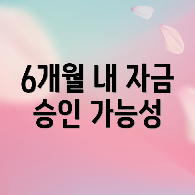 6개월 내 자금 승인 가능성