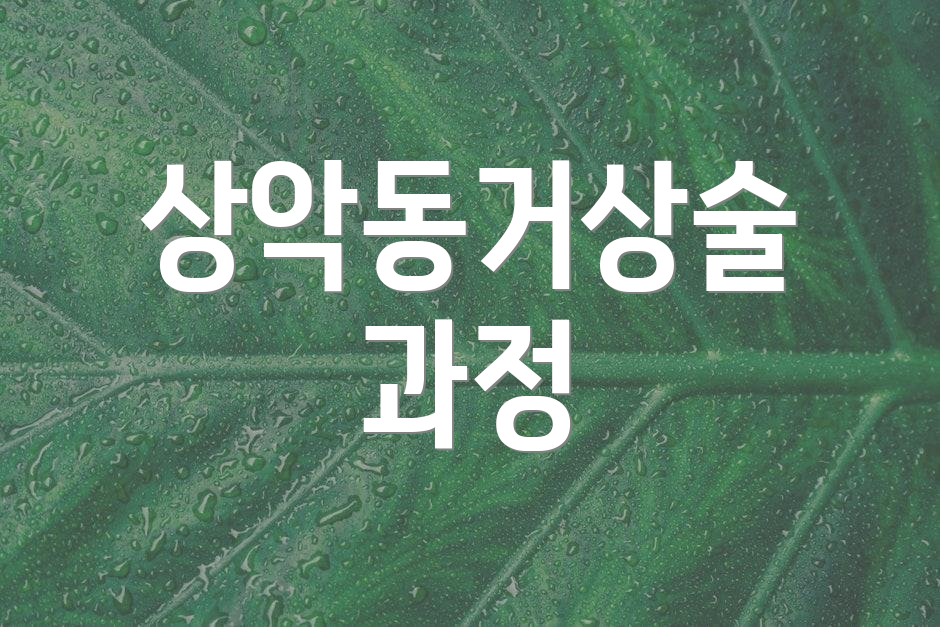상악동거상술 과정