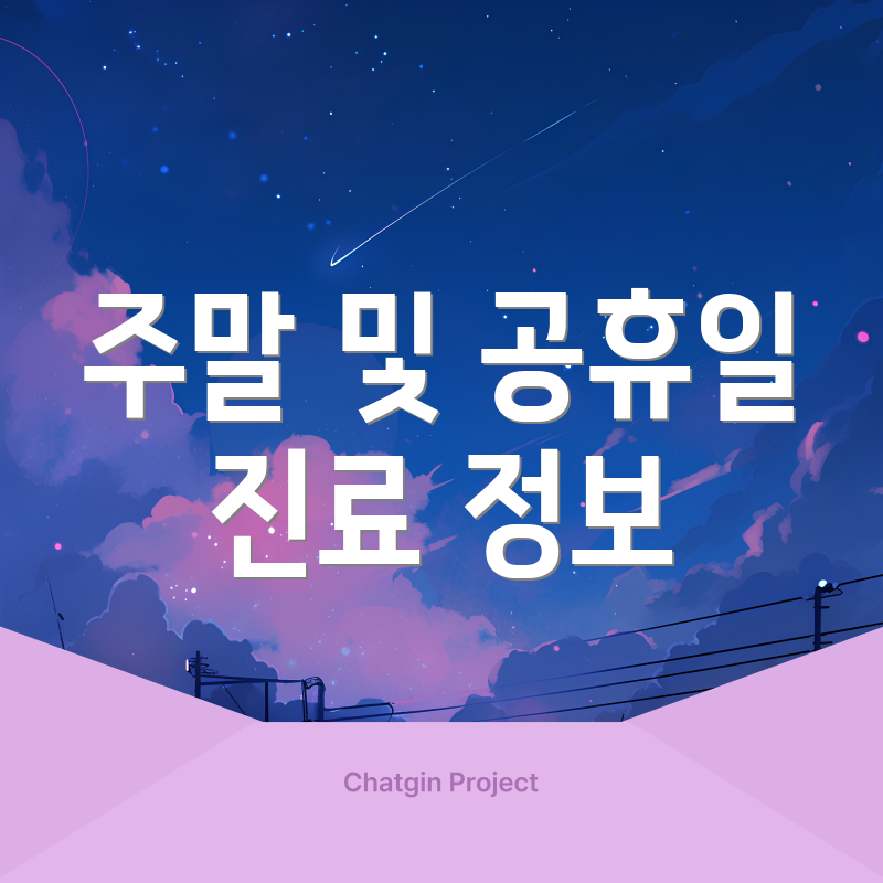 주말 및 공휴일 진료 정보