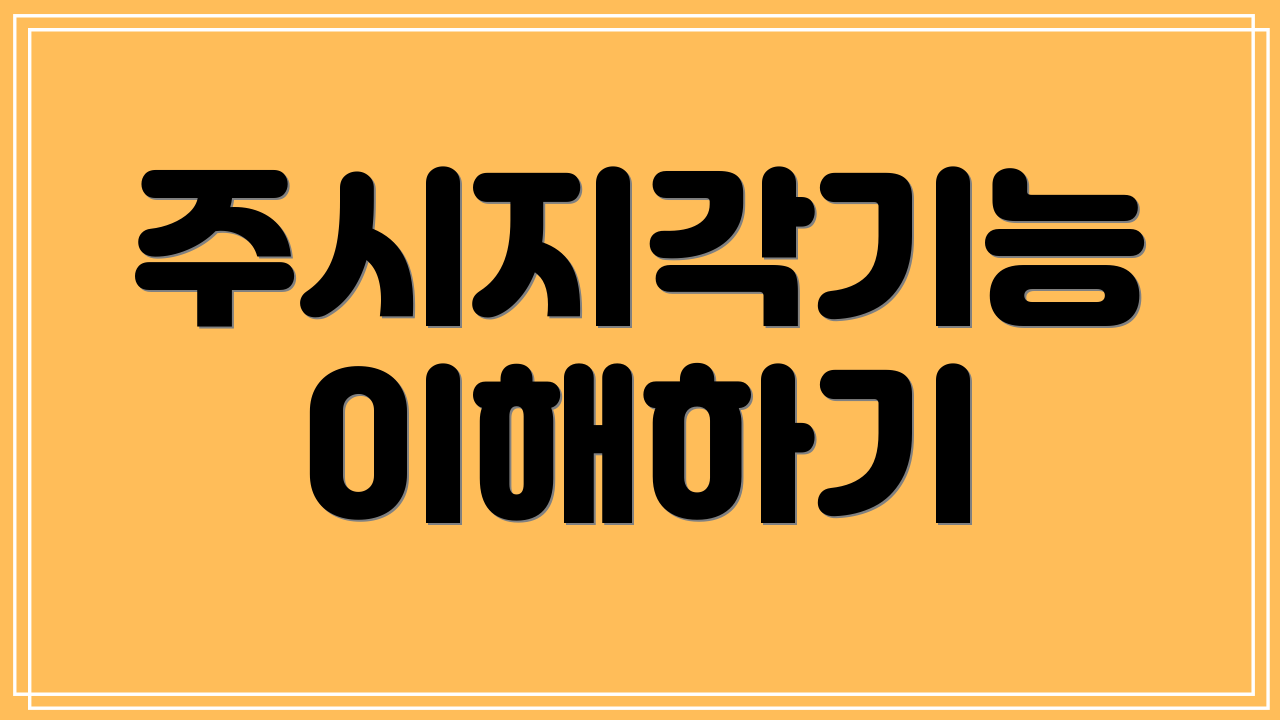 주시지각기능 이해하기