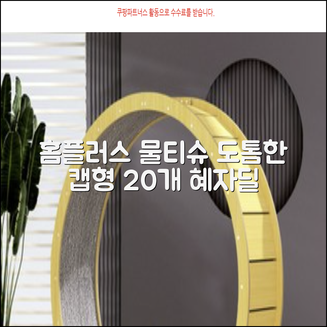 홈플러스 공식 본사 직영 simplus 도톰한 물티슈 캡형 저자극 심플러스 시그니처, 110매입, 20개 추천 리뷰