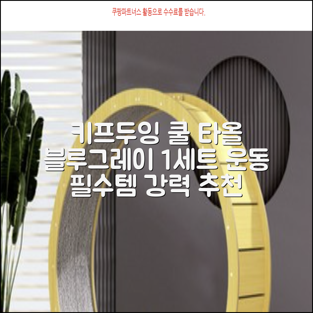 키프두잉 건식 스포츠 쿨 타올 케이스, 블루 + 그레이, 1세트 추천 리뷰