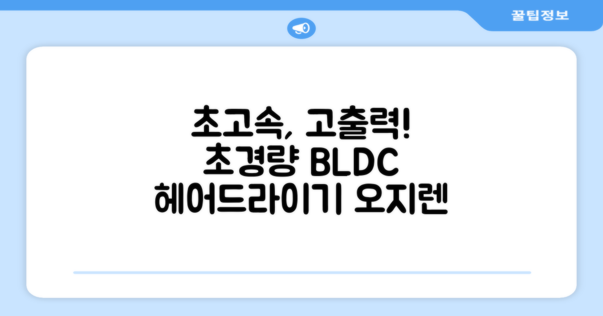 오지렌 초고속 고출력 초경량 음이온 BLDC 모터 헤어 드라이기, 화이트 추천 리뷰