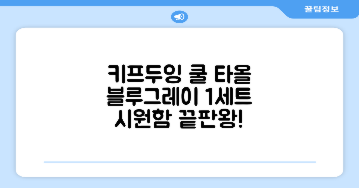 키프두잉 건식 스포츠 쿨 타올 케이스, 블루 + 그레이, 1세트 추천 리뷰