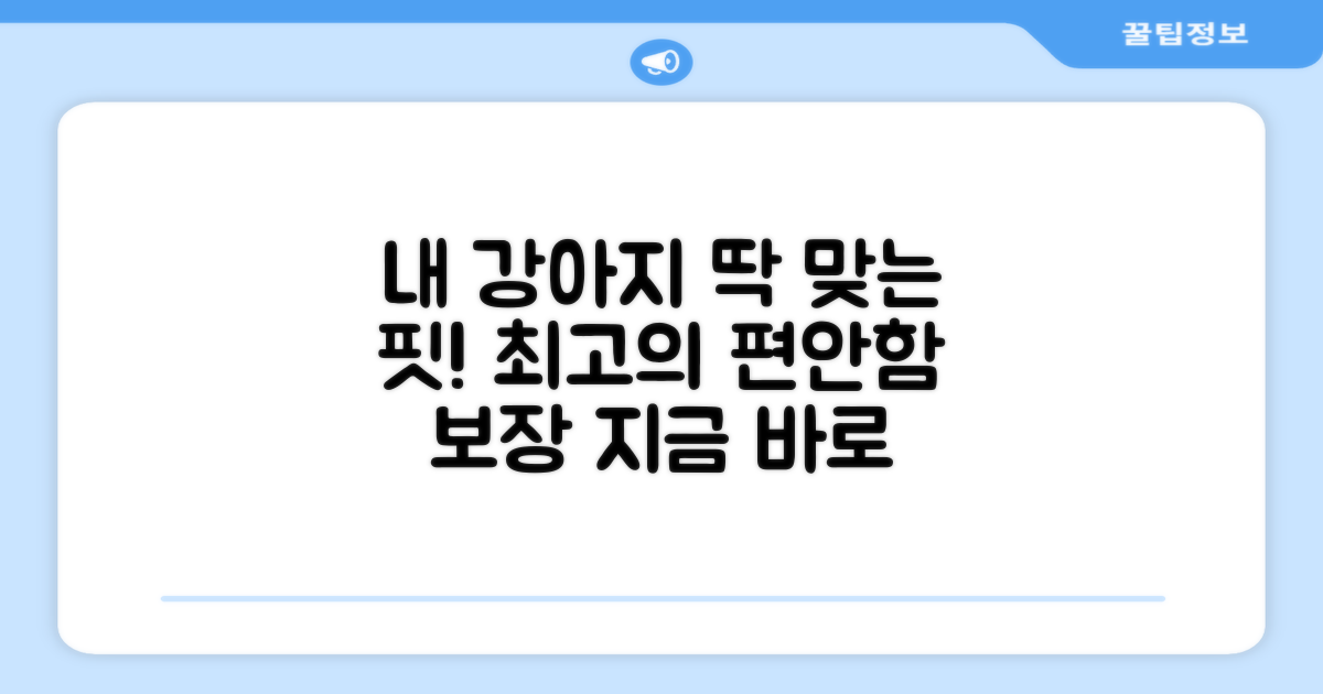 우리 강아지에게 딱 맞는 핏