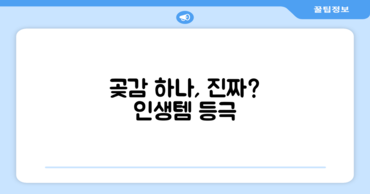 곶감 1개, 최고의 선택?