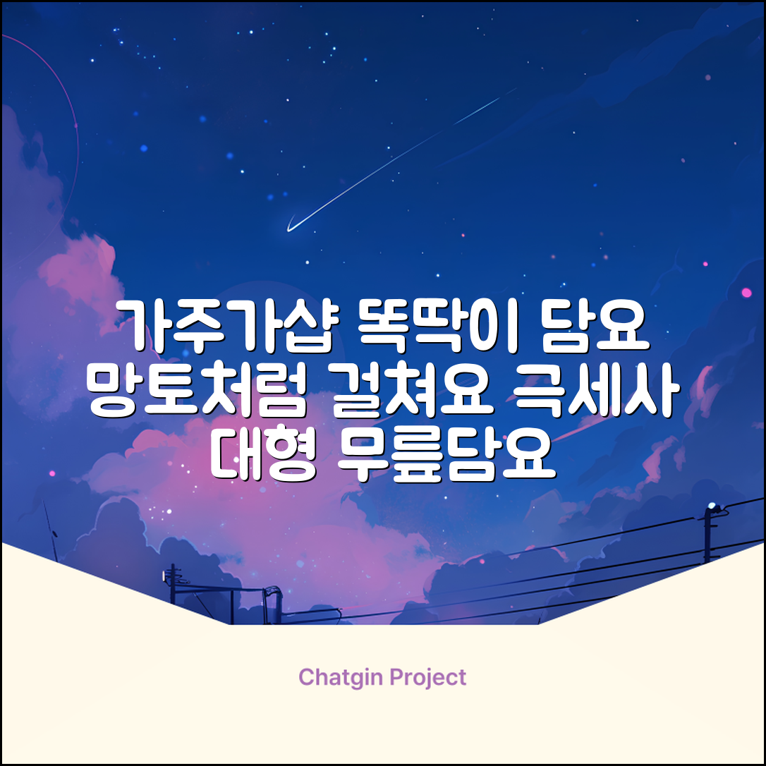 가주가샵 망토처럼 입을 수 있는 똑딱이 극세사 대형 무릎담요 추천 리뷰