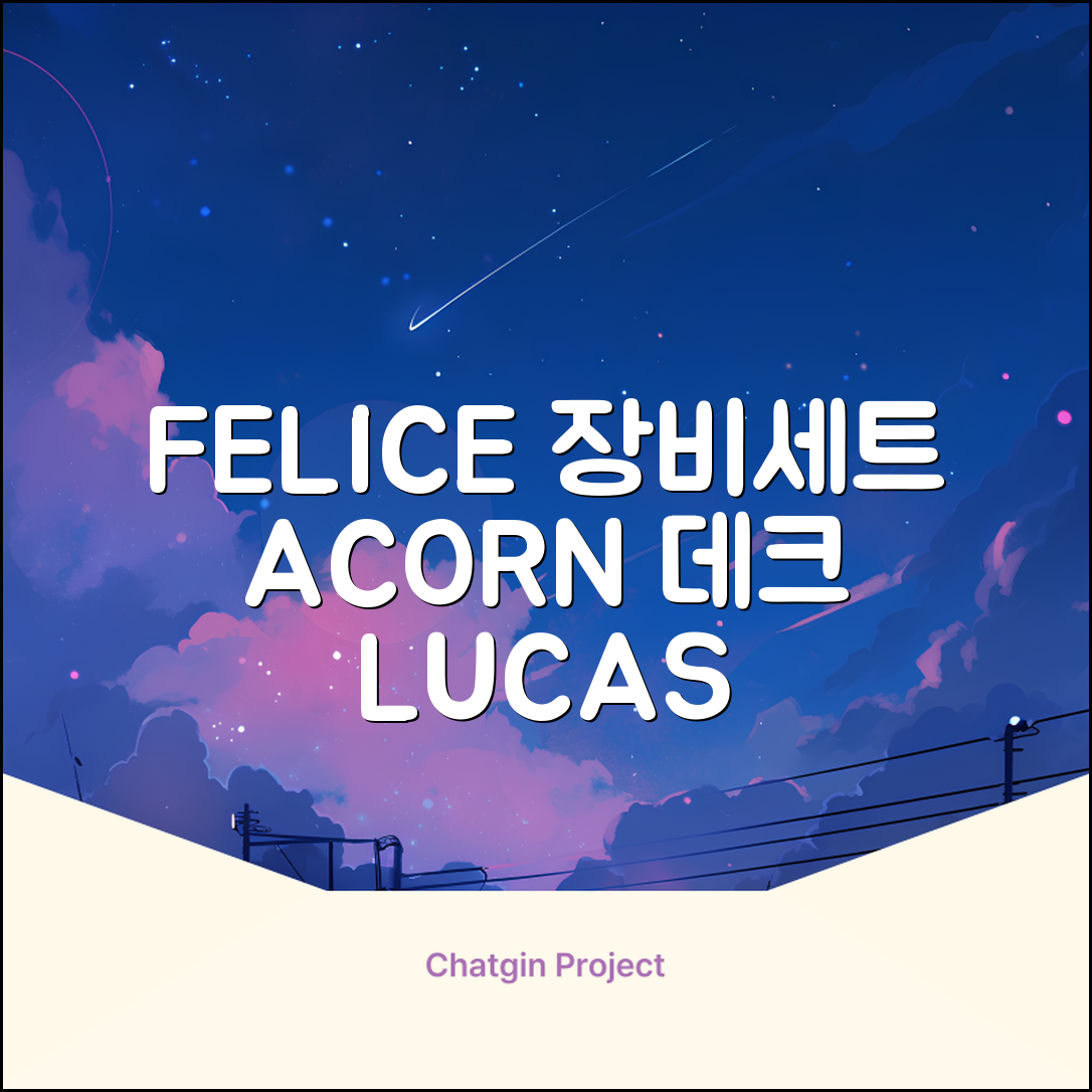 FELICE 장비세트6 ACORN데크 바인딩 LUCAS부츠, WESTSIDE 레드154+바인딩M, 1개 추천 리뷰