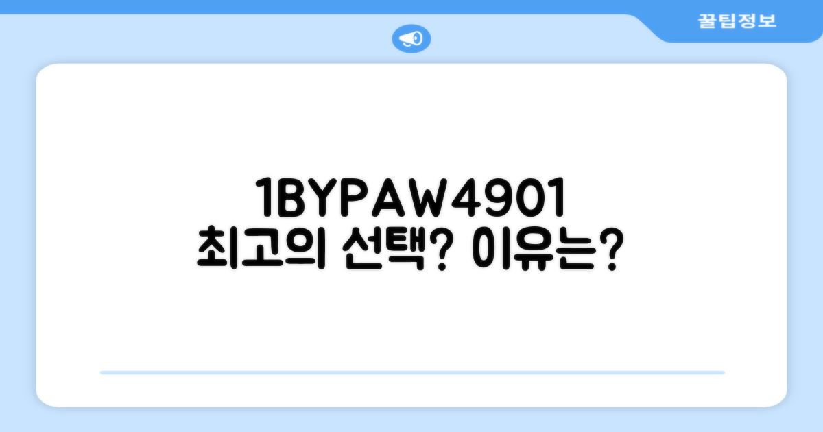 1BYPAW4901, 최고의 선택일까?