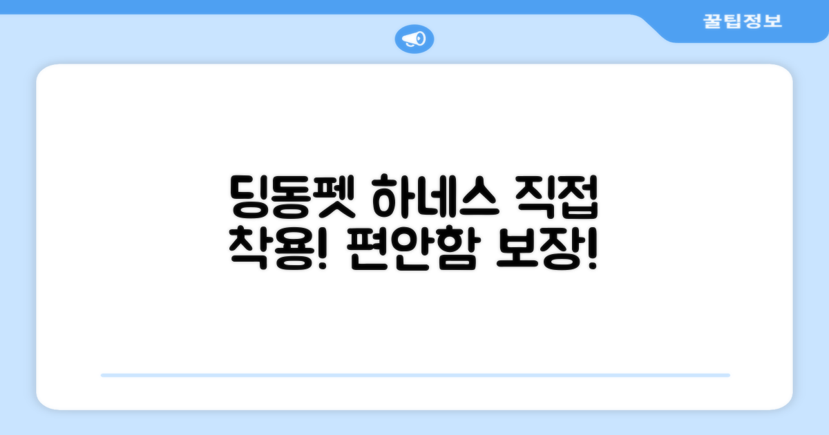 딩동펫 하네스, 직접 착용해보세요