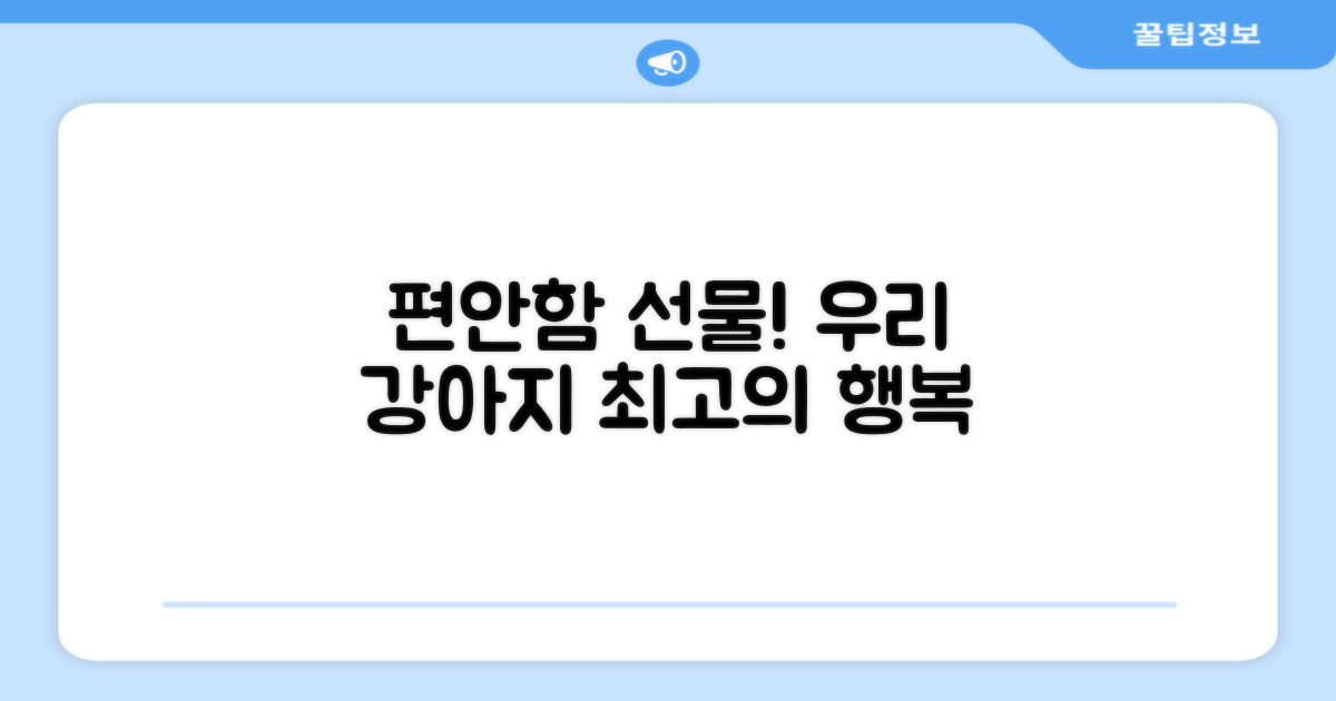 우리 강아지에게 편안함을 선물하세요!