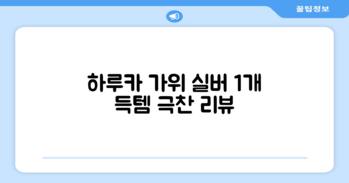 하루카 미용가위 세트, 실버, 1개 추천 리뷰