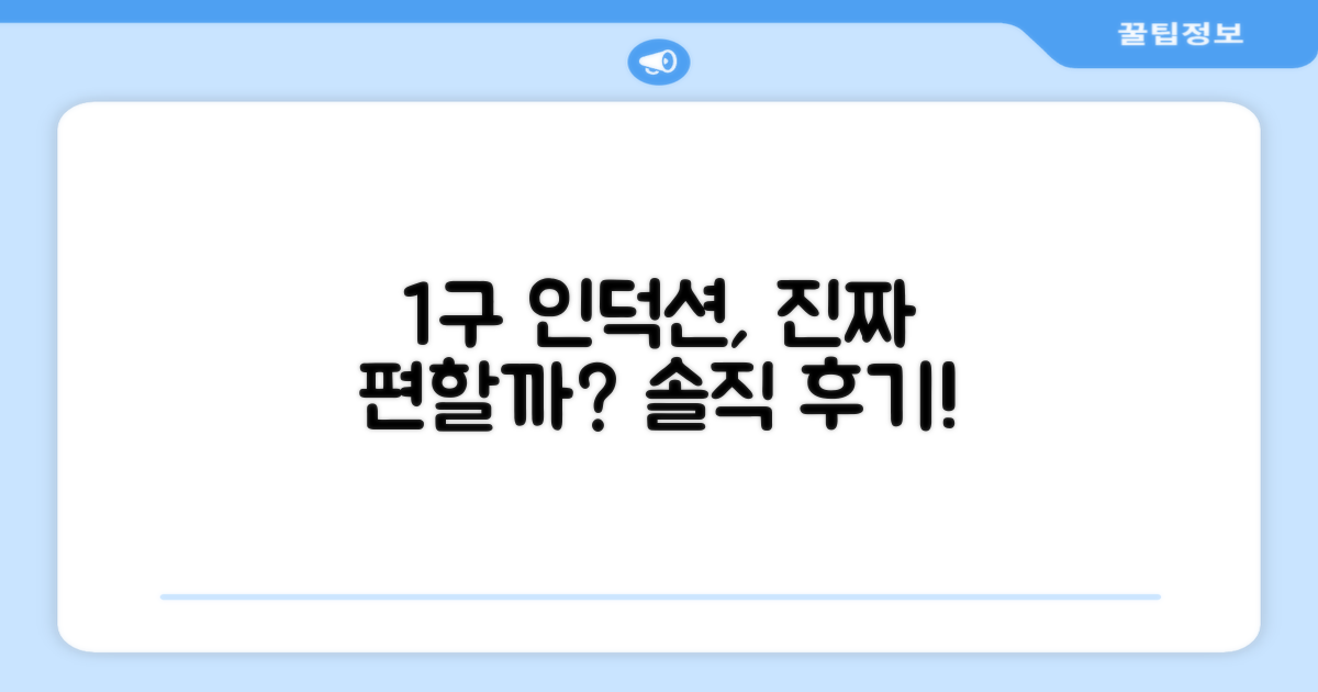 1구 인덕션, 정말 쓸만할까?