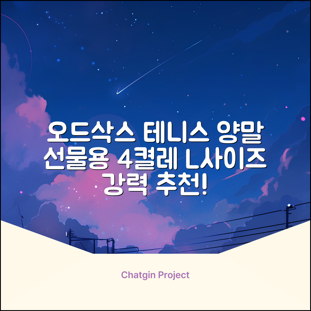 [오드삭스] 테니스 양말 세트B 4켤레 선물용, L(255mm-275mm), 1개 추천 리뷰