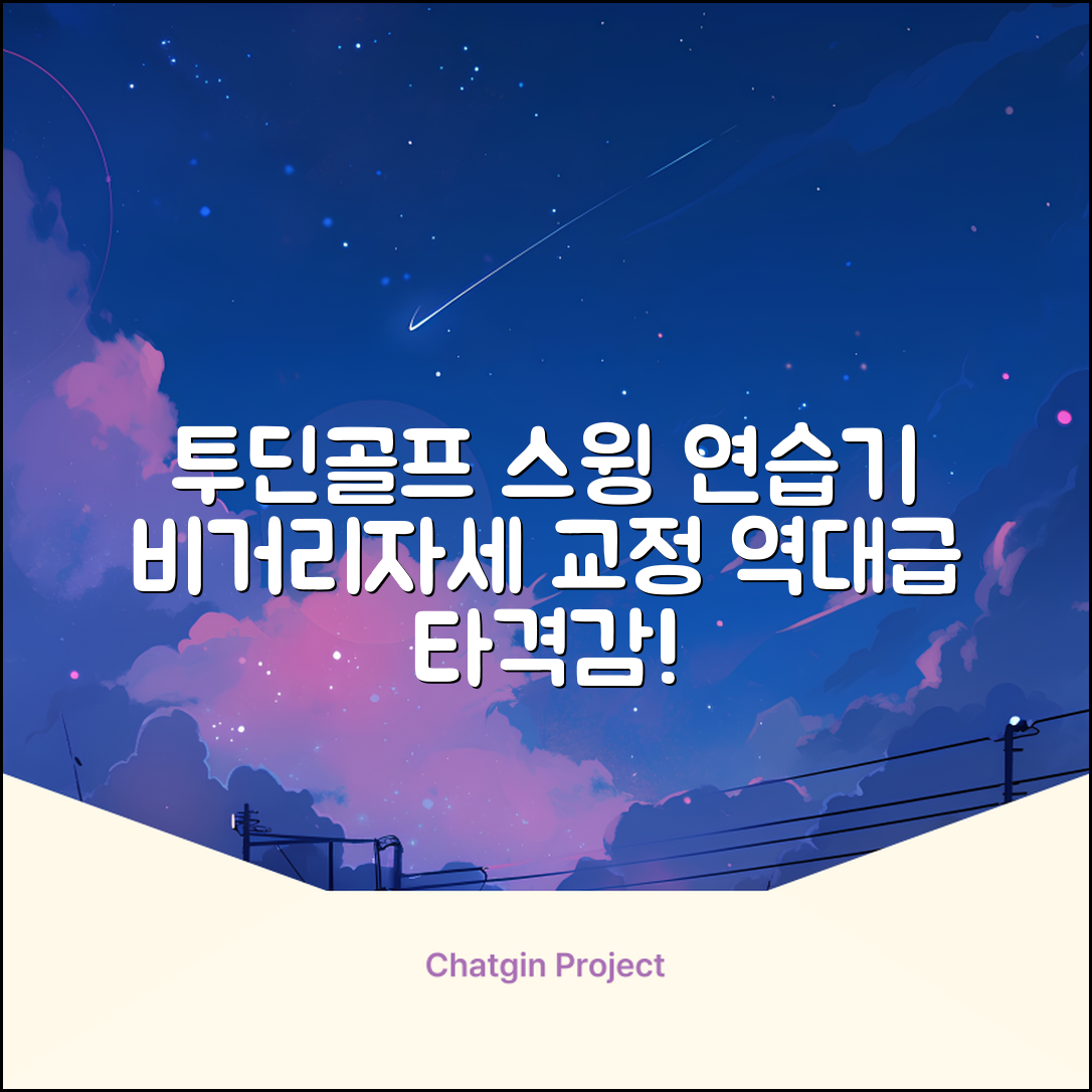 투딘골프 리얼타격감 퍼팩트 스윙트레이너 비거리향상 자세교정 스윙연습기, 블랙 교정그립, 1개 추천 리뷰
