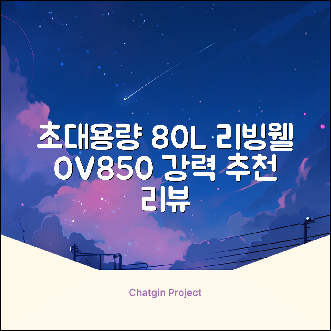 리빙웰 업소용 홈파티용 초대용량 80리터 OV850, 상품명 표기 추천 리뷰