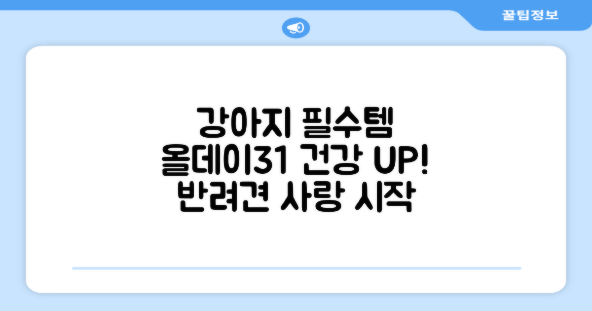 올데이31, 강아지 건강 필수품