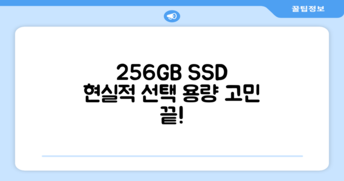 256GB SSD: 현실적인 용량 선택