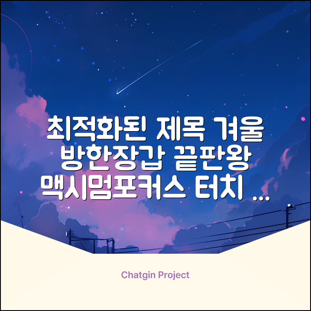 맥시멈포커스 스마트폰 터치 겨울 방한장갑 추천 리뷰