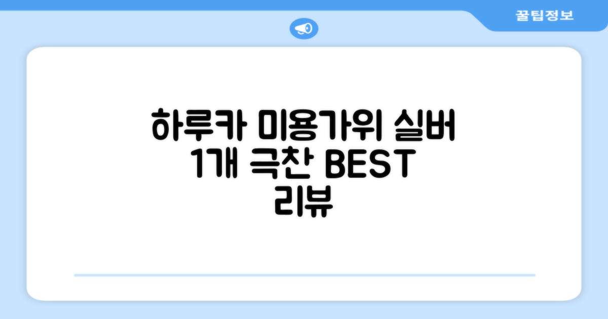 하루카 미용가위 세트, 실버, 1개 추천 리뷰