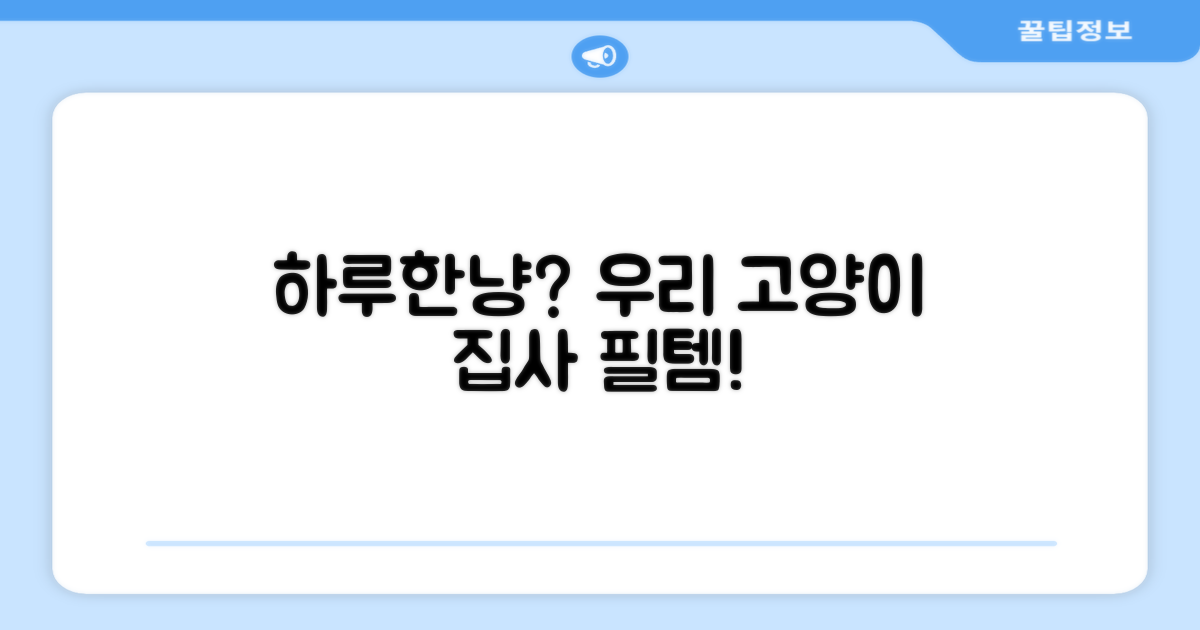 하루한냥, 우리 집 고양이에게?