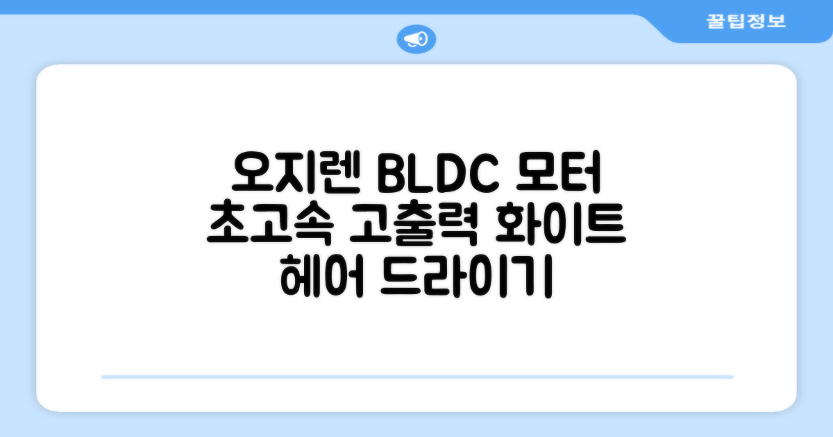 오지렌 초고속 고출력 초경량 음이온 BLDC 모터 헤어 드라이기, 화이트 추천 리뷰