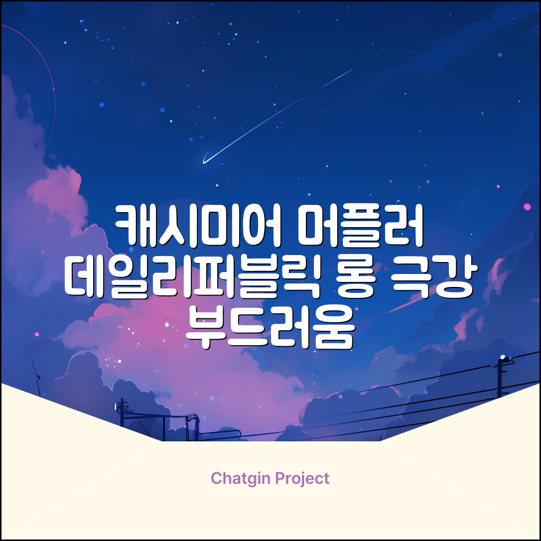 데일리퍼블릭 롱 캐시미어 머플러 목도리 넥워머 추천 리뷰