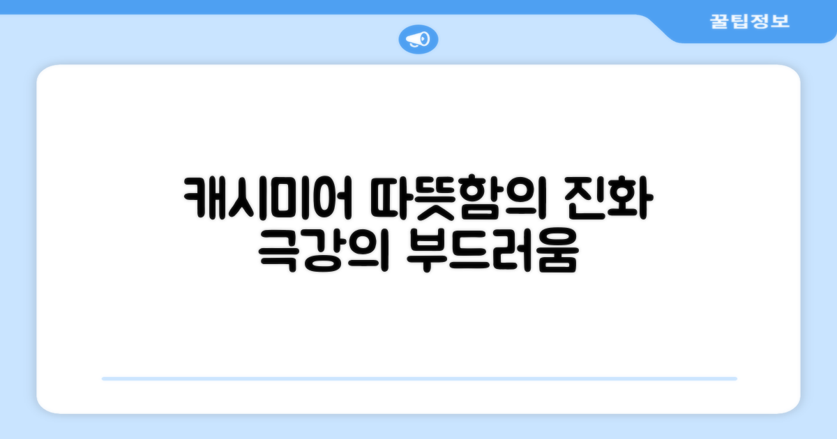 캐시미어, 따뜻함의 진화