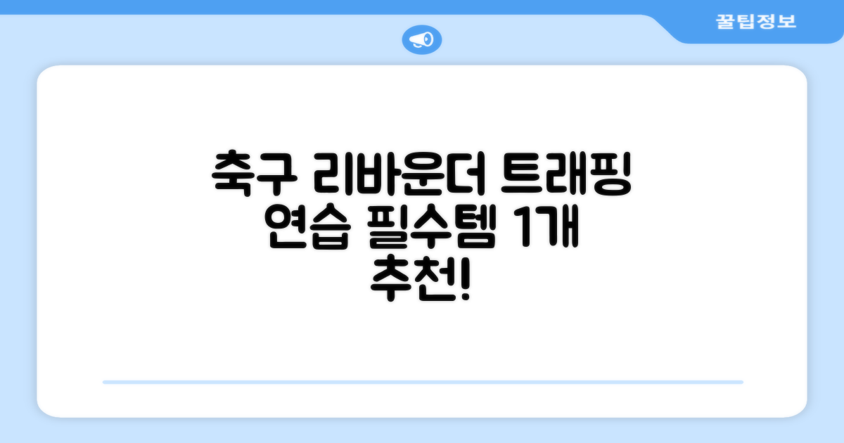 축구 리프팅 트래핑 리바운더 리바운드 네트, 1개 추천 리뷰