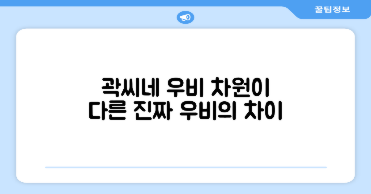 곽씨네 우비, 일반 우비와 다른 점