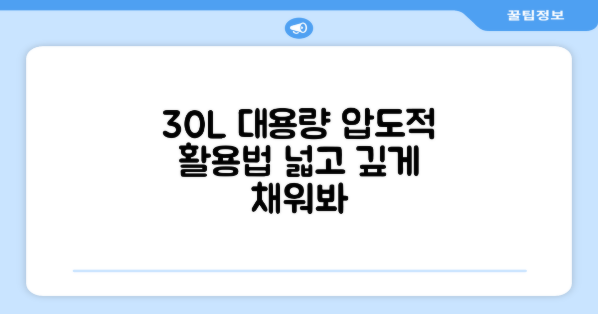 30L 대용량 활용법