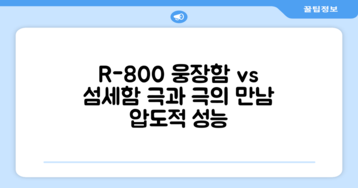 R-800: 웅장함 vs 섬세함