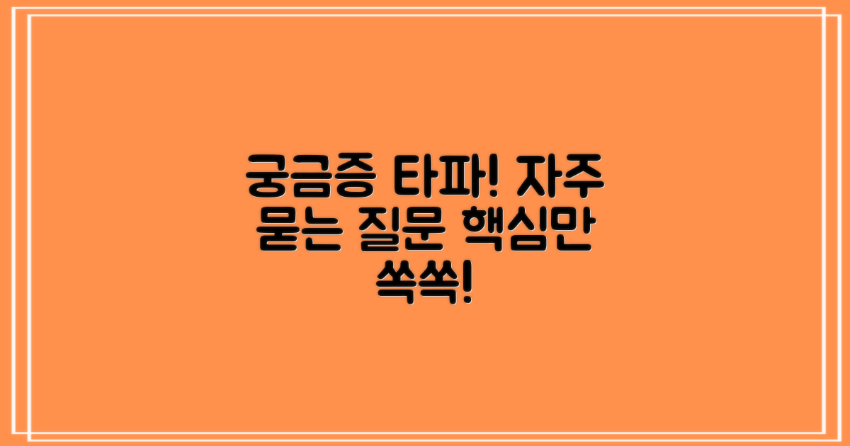 자주 묻는 질문