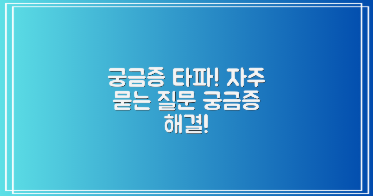 자주 묻는 질문