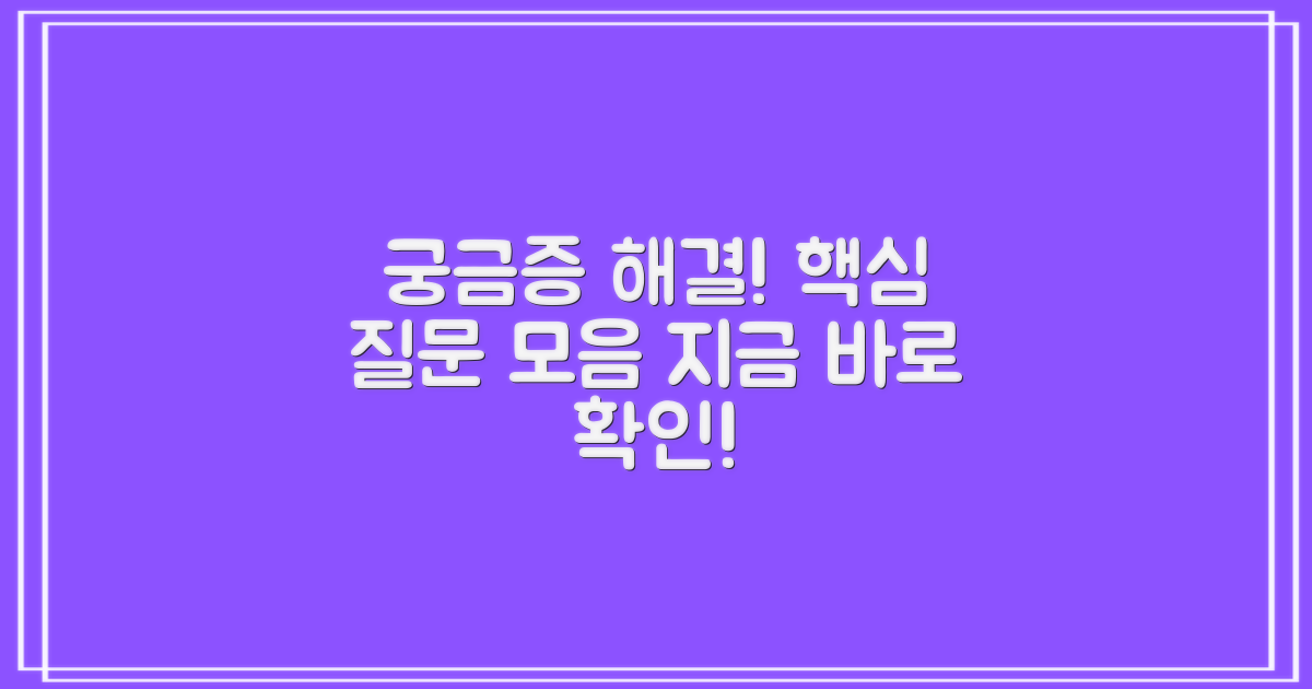 자주 묻는 질문