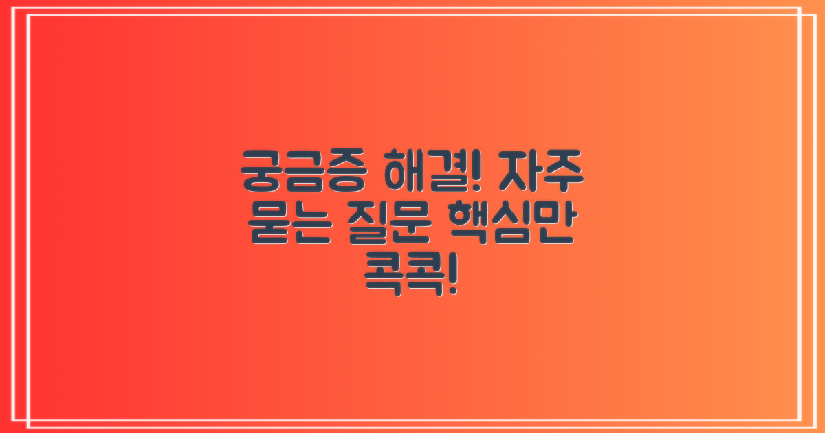 자주 묻는 질문
