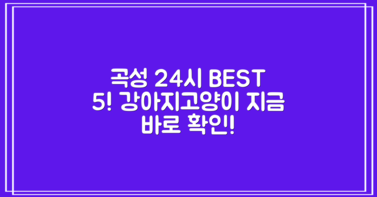 곡성 24시 동물병원 BEST 5! 강아지/고양이 진료는 여기!