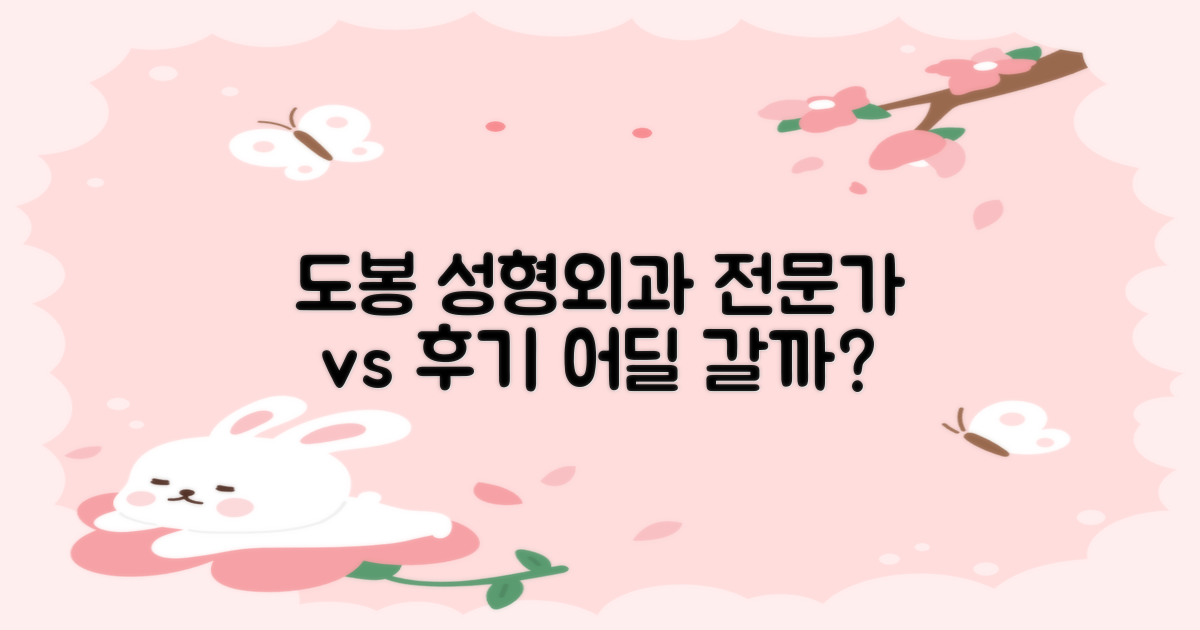 전문가의 진단 vs 후기 검증: 서울 도봉구 성형외과, 어디를 선택해야 할까?